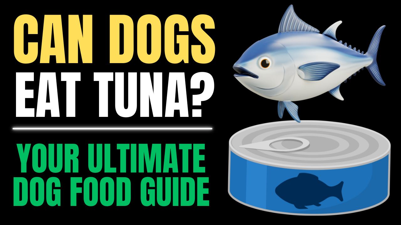 Can Dogs Eat Tuna?