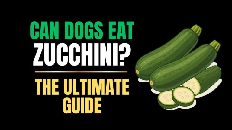 Can Dogs Eat Zucchini?