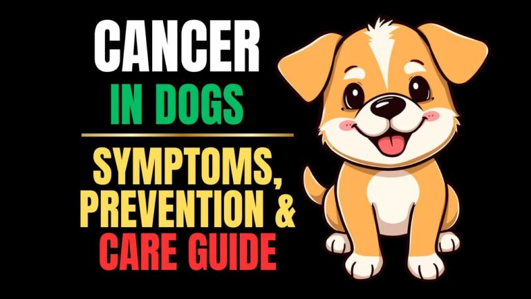 Cancer in Dogs