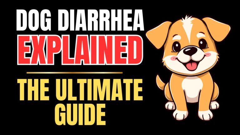 Dog Diarrhea Explained