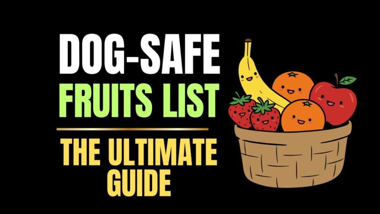 Dog-Safe Fruits List