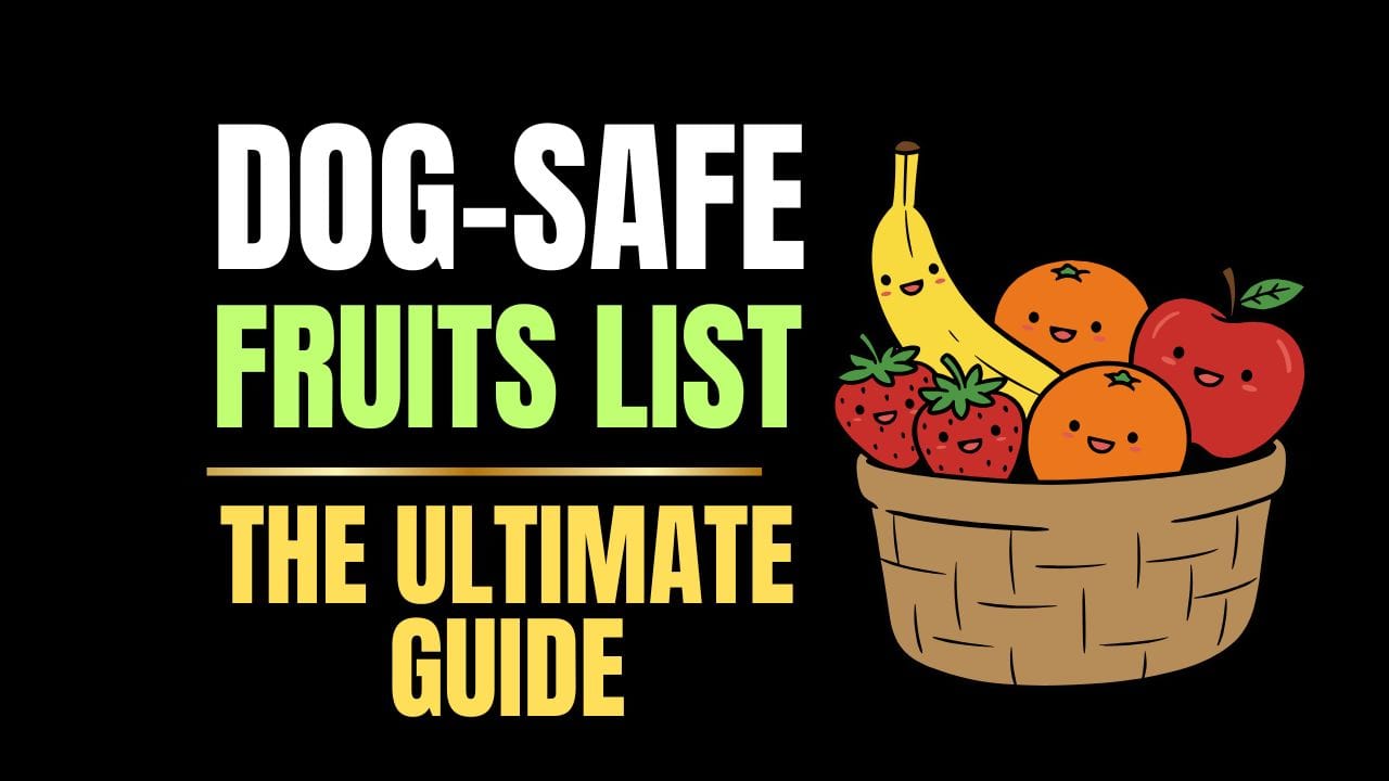 Dog-Safe Fruits List