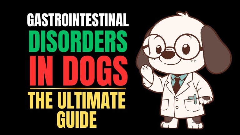 Gastrointestinal Disorders in Dogs