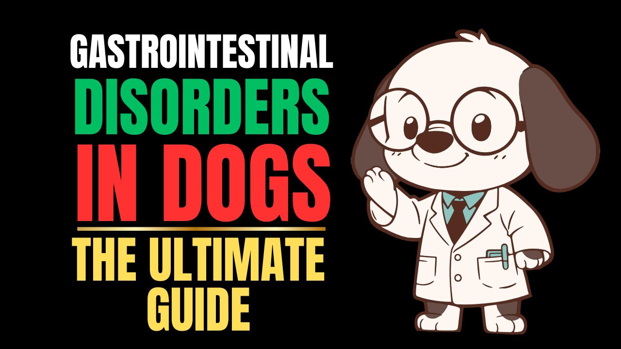 Gastrointestinal Disorders in Dogs