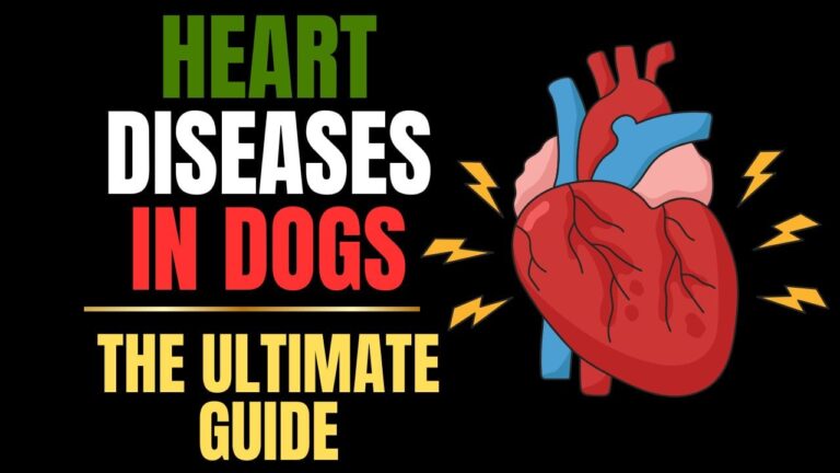 Heart Disease in Dogs