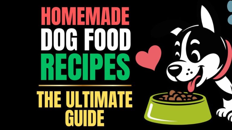 Homemade Dog Food Recipes