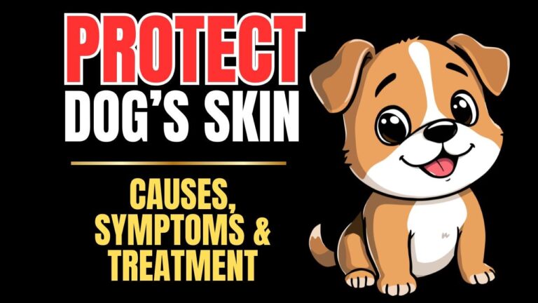 Protect Your Dog’s Skin