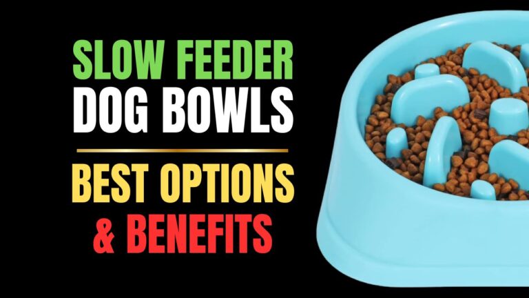 Slow Feeder Dog Bowls: Best Options & Benefits
