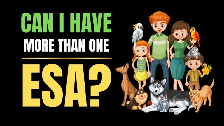 Can I have more than one ESA?