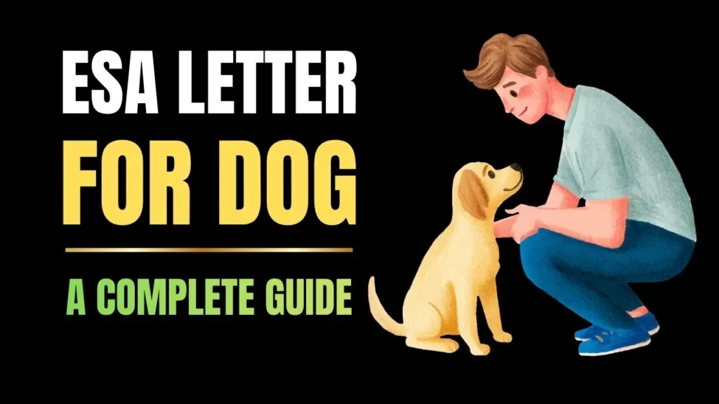 ESA Letter fo Dog