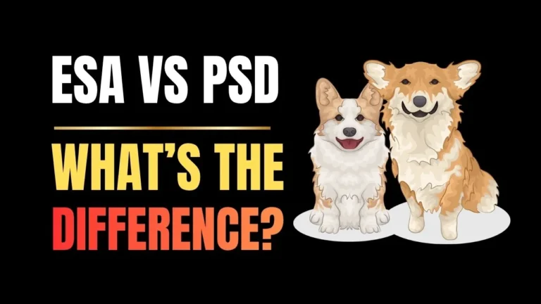 ESA VS PSD